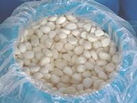 garlic clove in brine