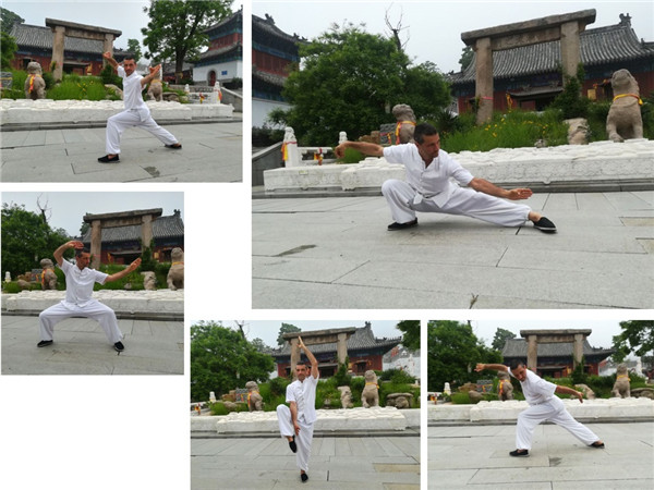  unique style  Bagua Palm 8 Trigrams Palm