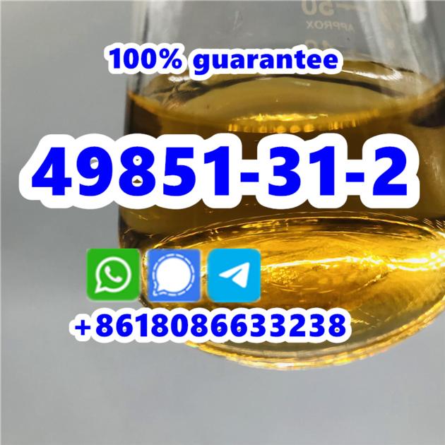 Competitive Price CAS 49851 31 2