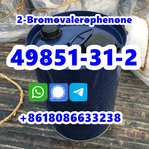 Competitive Price CAS 49851 31 2