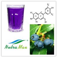 Blueberry Extract Juice 65 Brix