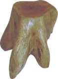 Newly Natural Hand-made Carved Wooden Root Stools
