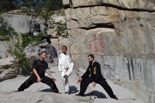 how to study/learn chinese/china Bagua Palm learn/study Bagua Palm fist in china