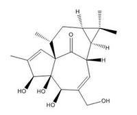 Ingenol