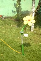 FLOWER SPRINKLER