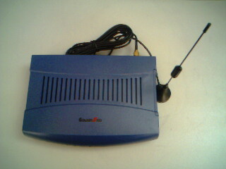 GSM fixed wireless phone terminal