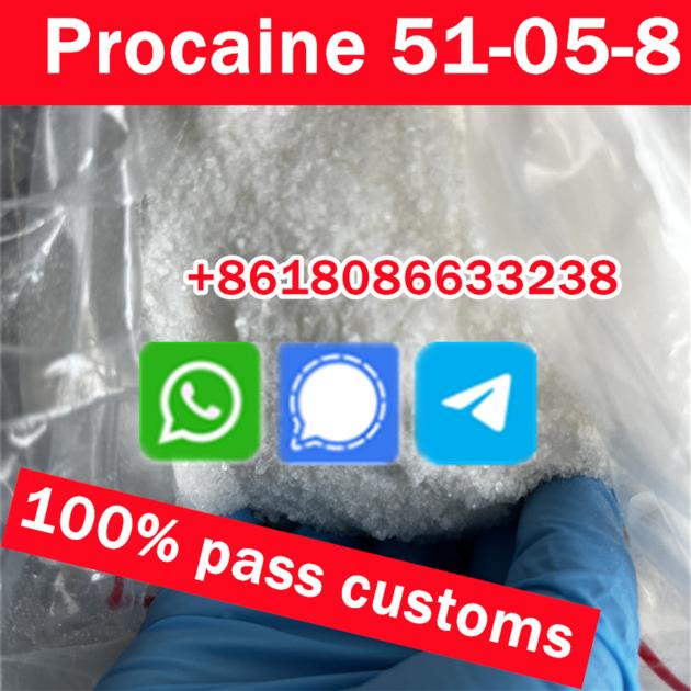 Procaine Hydrochloride Procaina Hcl CAS 51