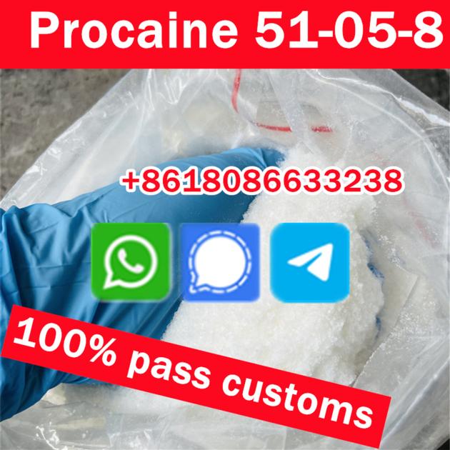 Procaine Hydrochloride Procaina Hcl CAS 51