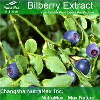 Bilberry Extract 25% Anthocyanidins(sales06@nutra-max.com)