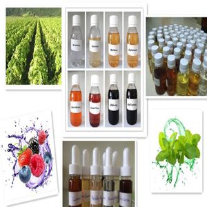 Concentrate Mint Flavors
