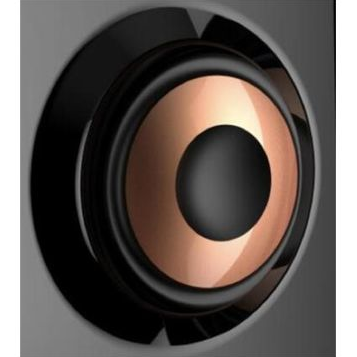 Computer Speaker