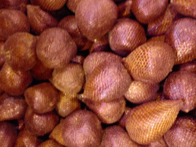 Snake Fruit