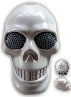 Mini Skull Speakers