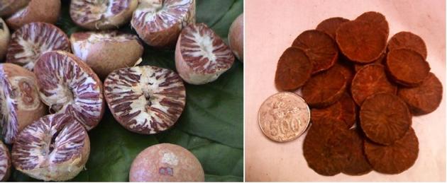 Areca Nut
