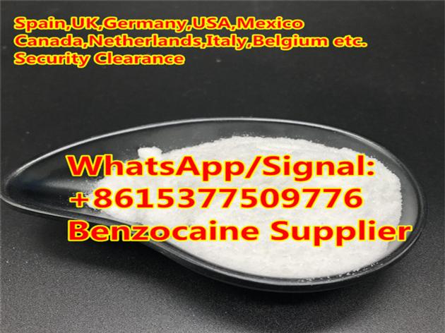Benzocaine Anesthetic Local Powder Supplier Benzocaine