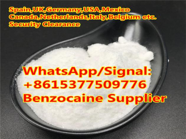 Benzocaine Anesthetic (local) Powder Supplier Benzocaine CAS 94-09-7