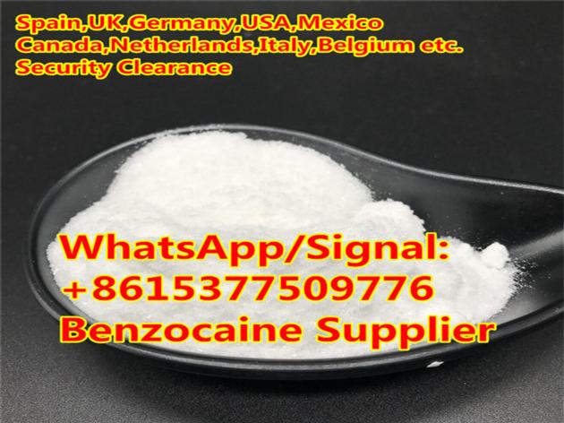 Benzocaine Anesthetic Local Powder Supplier Benzocaine