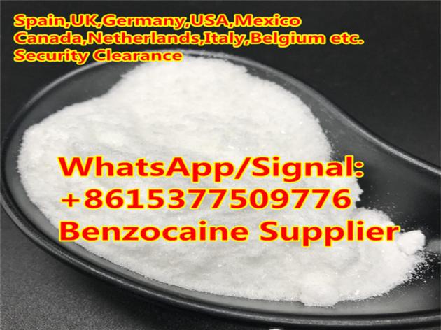 Benzocaine Anesthetic Local Powder Supplier Benzocaine