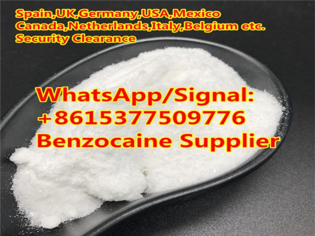 Benzocaine Anesthetic Local Powder Supplier Benzocaine