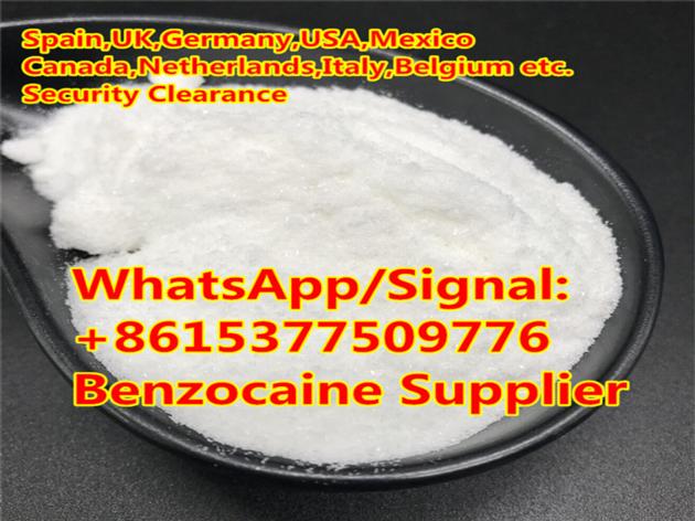 Benzocaine Anesthetic Local Powder Supplier Benzocaine