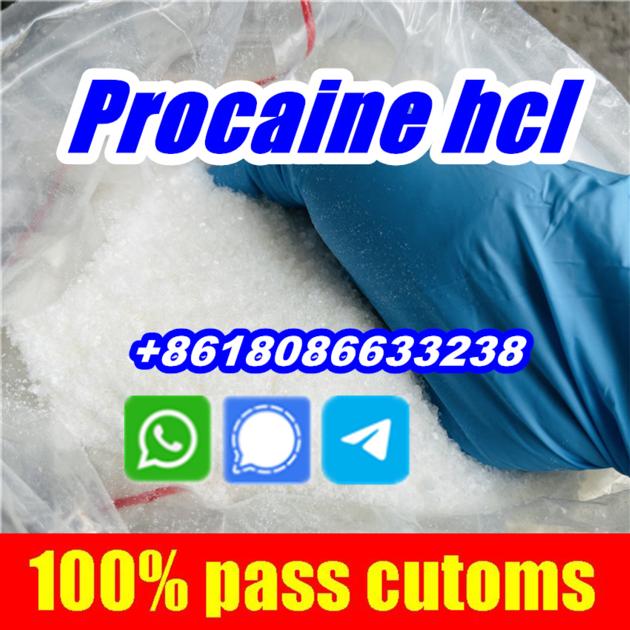 Buy Procaine Hydrochloride Hcl 99 Procaina