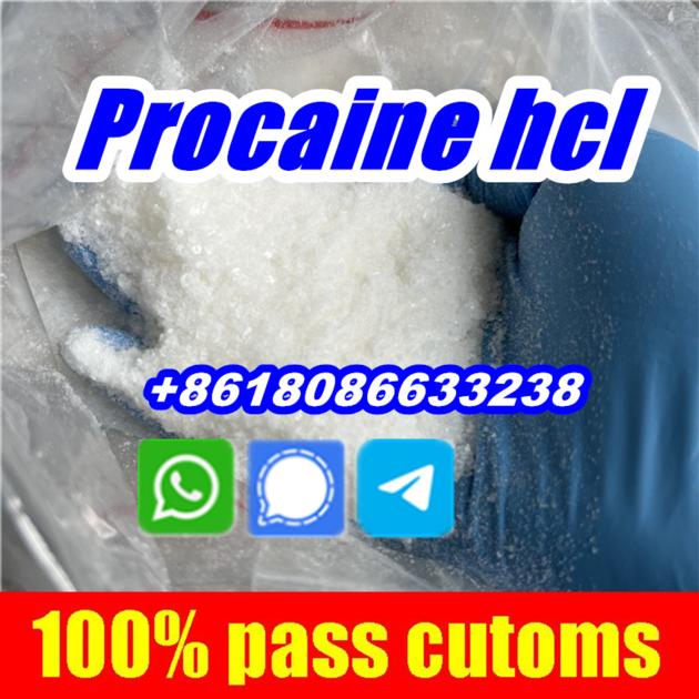 Buy Procaine Hydrochloride Hcl 99 Procaina