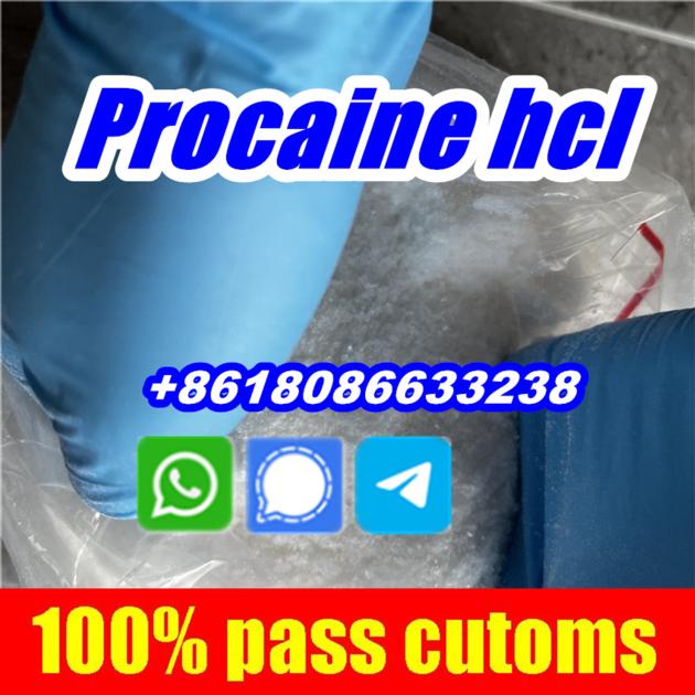 Buy Procaine Hydrochloride Hcl 99 Procaina