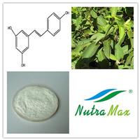 Giant Knotweed Extract(sales06@nutra-max.com)