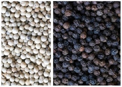 Pepper