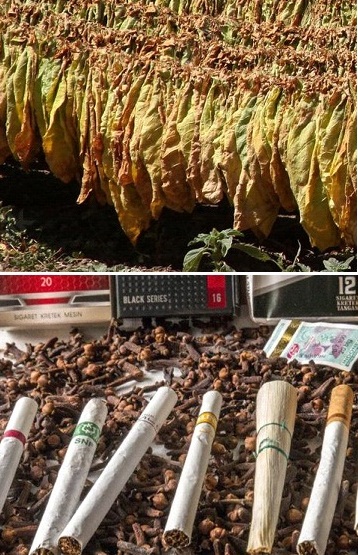 Tobacco Leaf