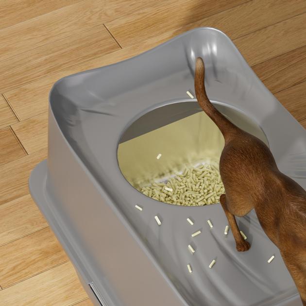 Top Entry Enclosed Stainless Steel Cat