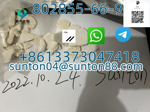 CAS 802855 66 9 With Top