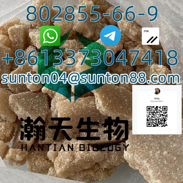 CAS 802855 66 9 With Top