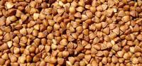 roasted buckwheat kernel