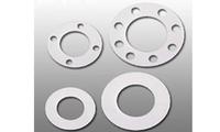 Solid PTFE Gasket
