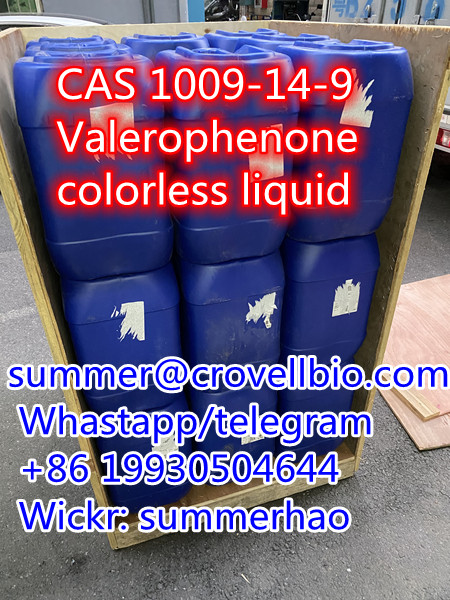 Valerophenone CAS 1009 14 9 Supplier