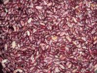 purple speckled kidney bean