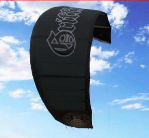 2010 Griffin Kite