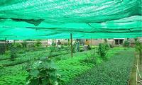 Hdpe Raschel Knitted Agriculture Shade Windbreak Netting