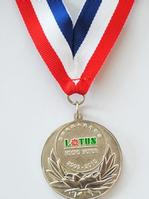 variety kinds of metal medals with lanyard on sale