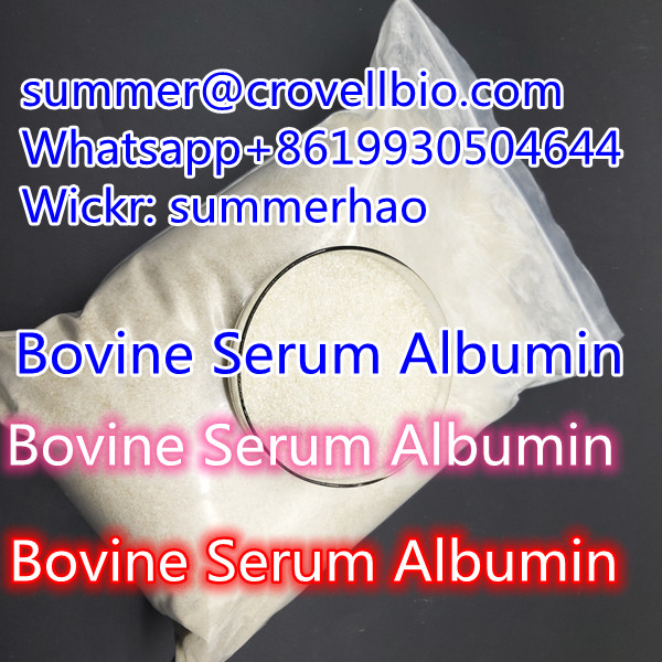 Bovine Serum Albumin Supplier In China