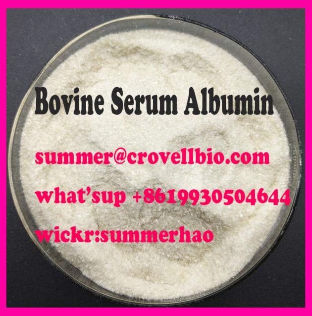Bovine Serum Albumin supplier in China