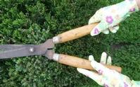 Gardening glove Nitrile coated glove