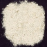 cotton linter and combers