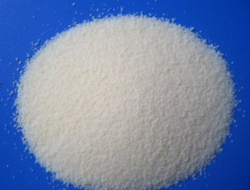 DHA powder