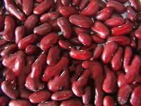 red dark kidney bean