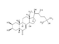 Sell Ecdysone