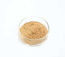 Sell Green Tea L-Theanine