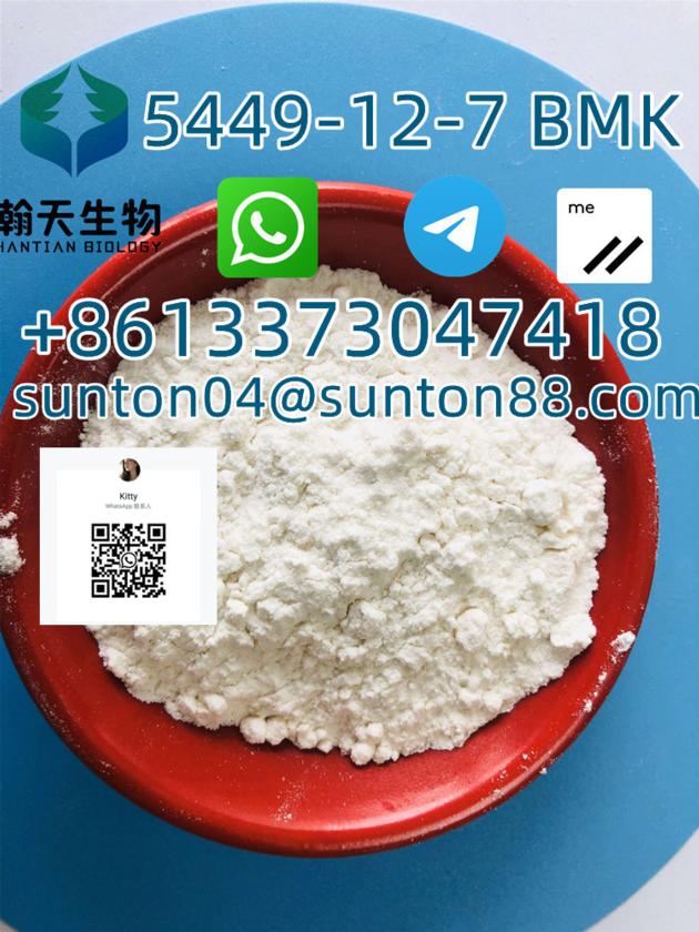 CAS:5449-12-7/BMK Glycidic Acid sodium salt 99% White Powder- Chemical, pharmaceutical production, o