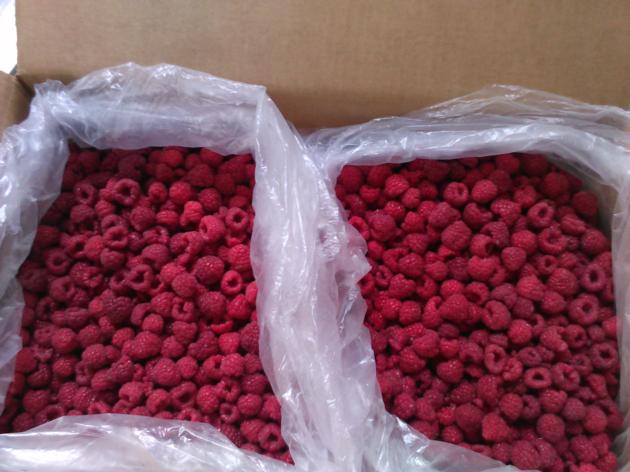 Frozen Raspberries